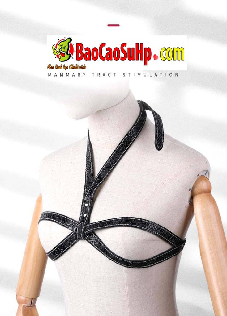 Bộ đồ chơi SM Black Knight 18 món cao cấp kích thích đam mê Bộ đồ chơi SM Black Knight 18 món cao cấp kích thích đam mê