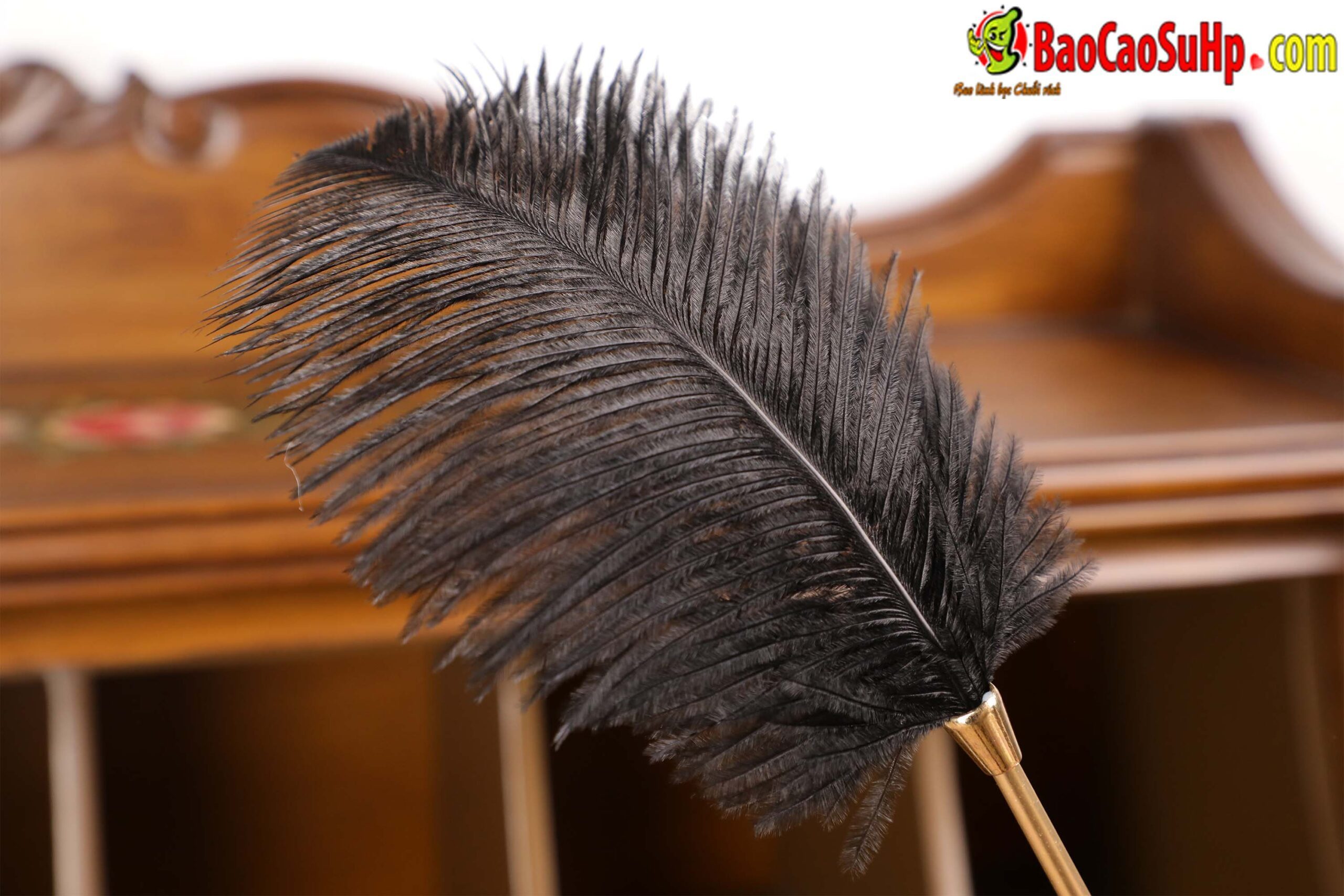 anh chup bo BDSM Mizzzee Love Retro 11 scaled - Bộ BDSM Mizzzee Love Retro đẹp độc phong cách 12 món