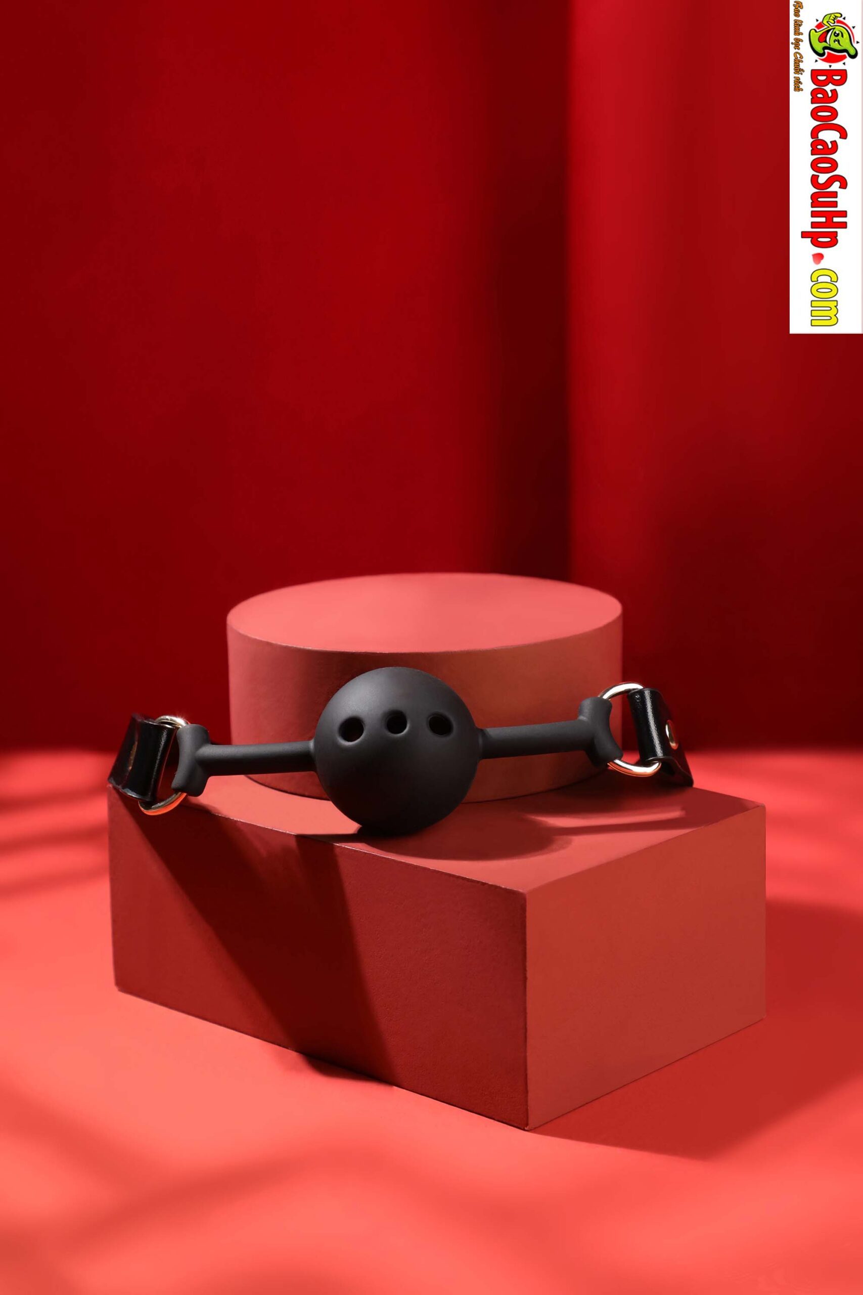 834A7888 scaled - Bộ BDSM Mizzzee BIN002 nâng cấp 10 món đen pha đỏ đầy khiêu gợi