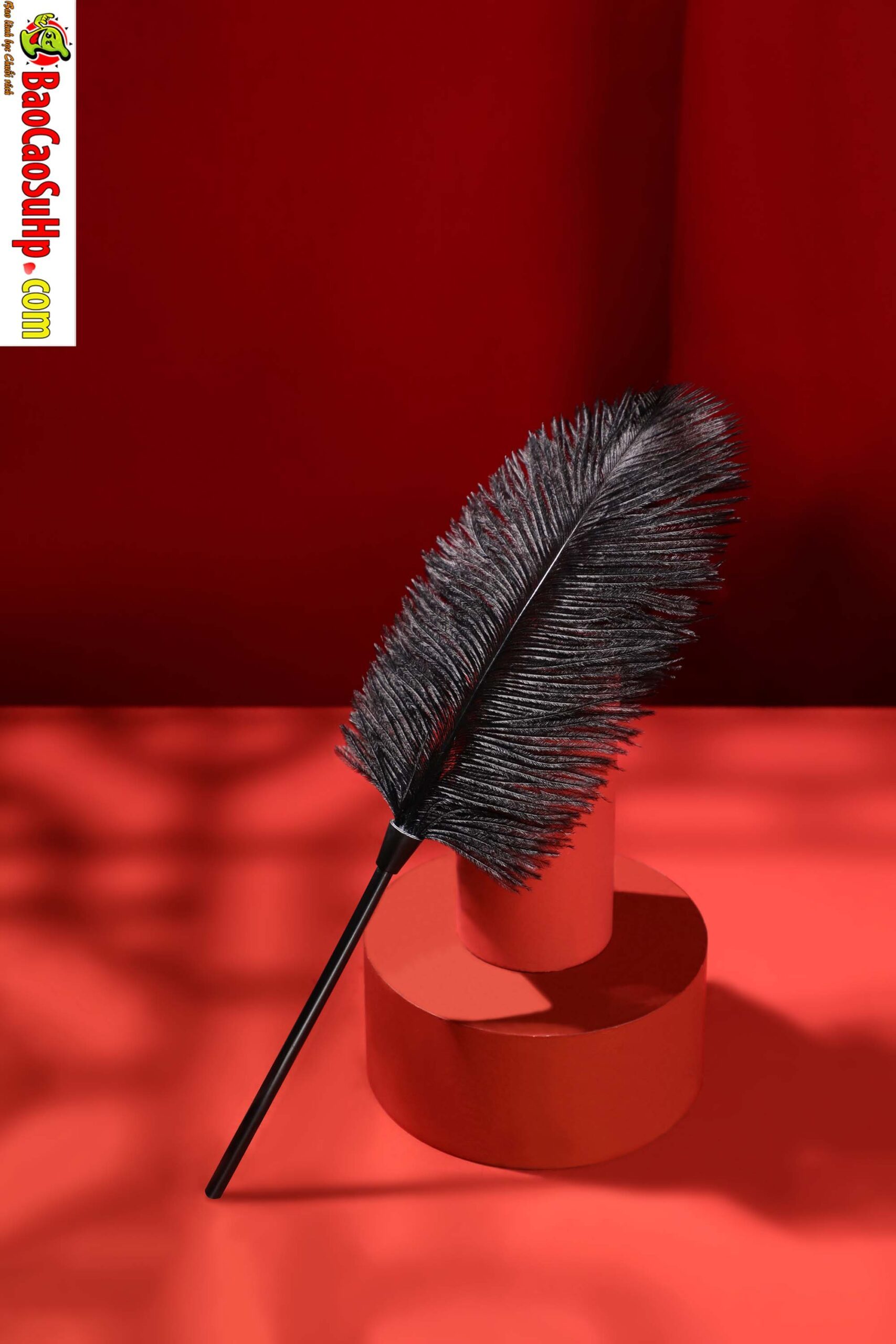 834A7903 scaled - Bộ BDSM Mizzzee BIN002 nâng cấp 10 món đen pha đỏ đầy khiêu gợi
