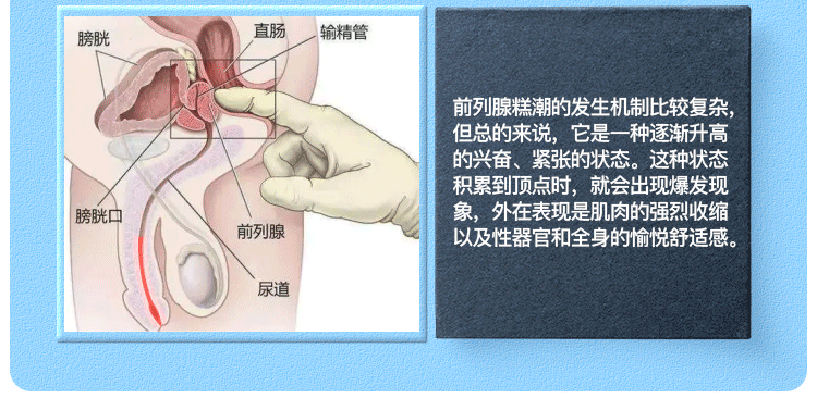 Que thụt niệu đạo rung Black Panda gấu ngựa kích thích mạnh