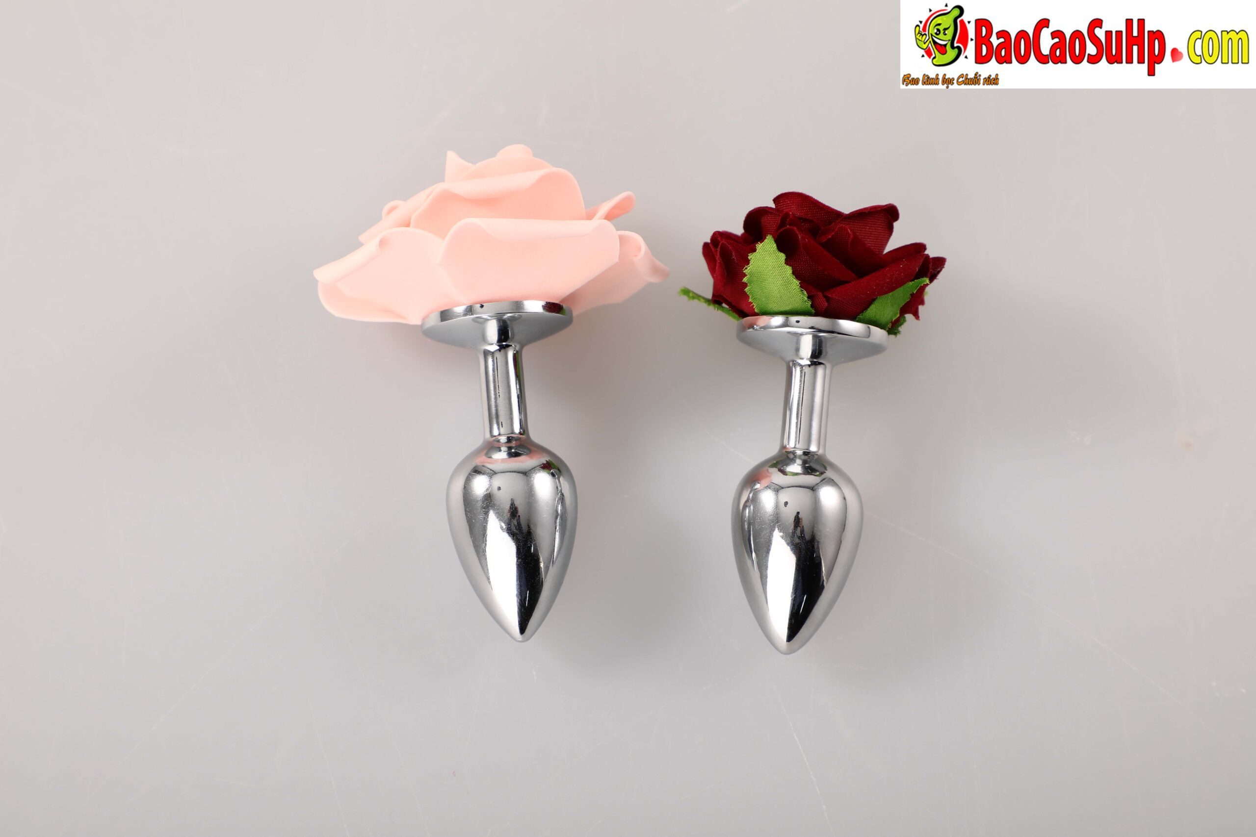anh chup INOX Mizzzee ROSE 3D 1 scaled - Phích cắm hậu môn INOX Mizzzee ROSE 3D đẹp bền bỉ.