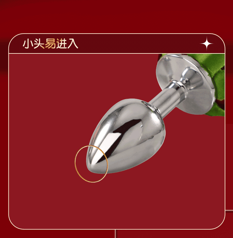 anh gioi thieu INOX Mizzzee ROSE 3D 5 - Phích cắm hậu môn INOX Mizzzee ROSE 3D đẹp bền bỉ.