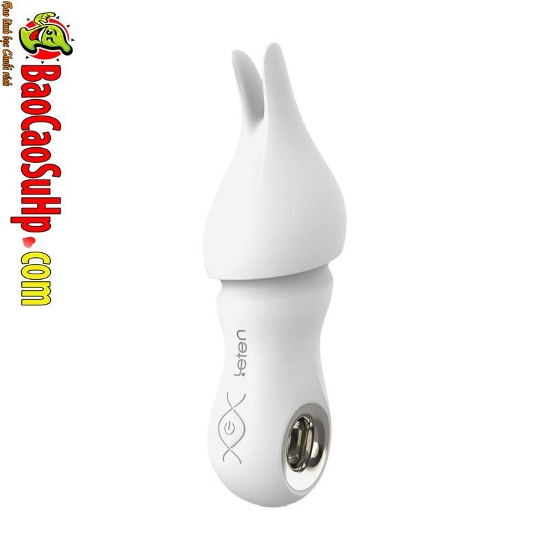 Chày Rung Cầm Tay Leten Novas Cao Cấp Rung Mạnh Bền Bỉ