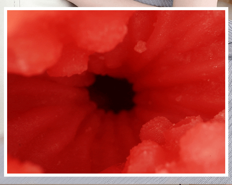 Am dao gia cam tay Fukada Eimi V2 nang cap Idol Nhat Ban 4 - Âm đạo giả cầm tay Fukada Eimi V2 nâng cấp Idol Nhật Bản