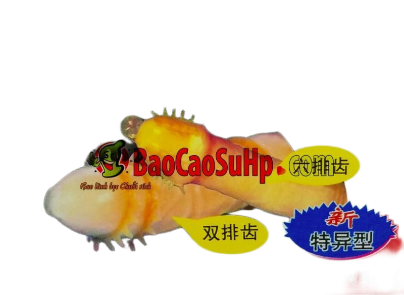  Bán BAO CAO SU GOLD BAO GAI giá rẻ 