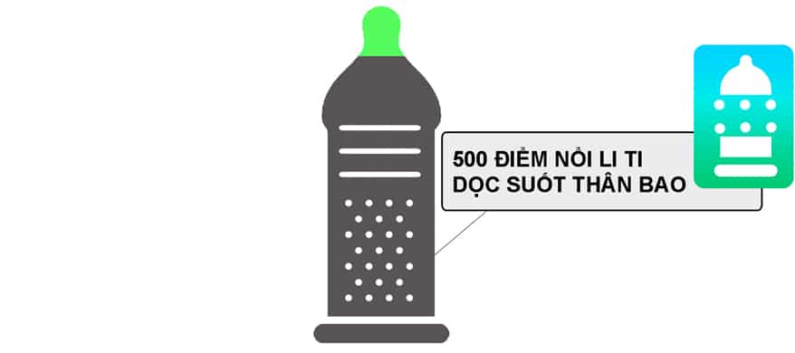 Shell Premium 6in1 Latex Condoms High Quality Safe Protection