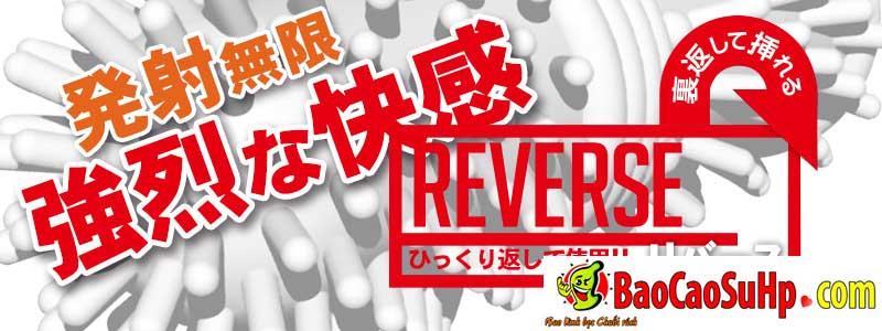 Spike Japanese Donden Super Large Condom