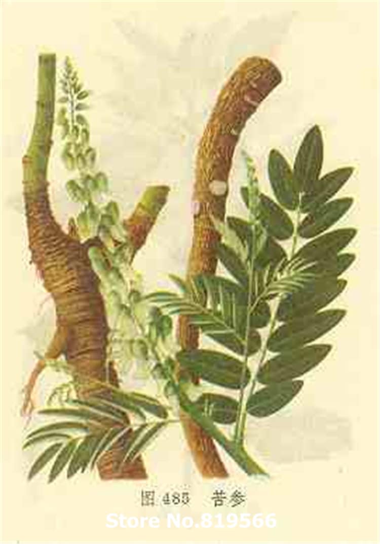 Vimax Men Delay Spray thuốc xịt kéo dài hiệu quả tăng cường sinh lý