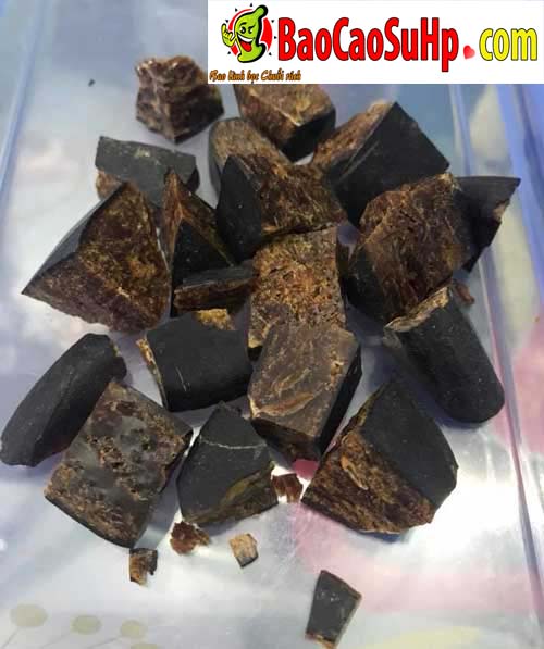 Sìn sú Tây Nguyên Hải Phòng tăng cường sinh lực thảo dược chuẩn