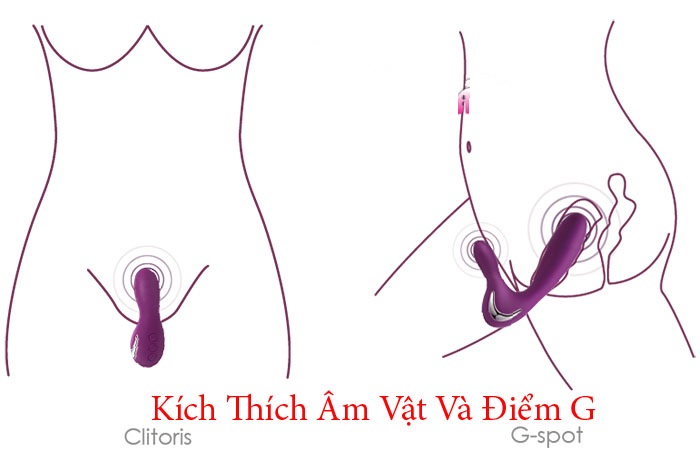 Dương vật giả 2 đầu rung sưởi ấm Svakom Vesper massage kích thích cực đã