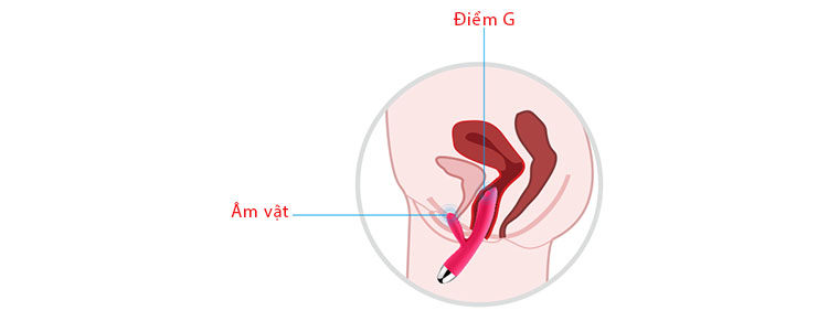Dương Vật Giả Cao Cấp Rung Bi Chạy Kích Thích Điểm G Siêu Mượt