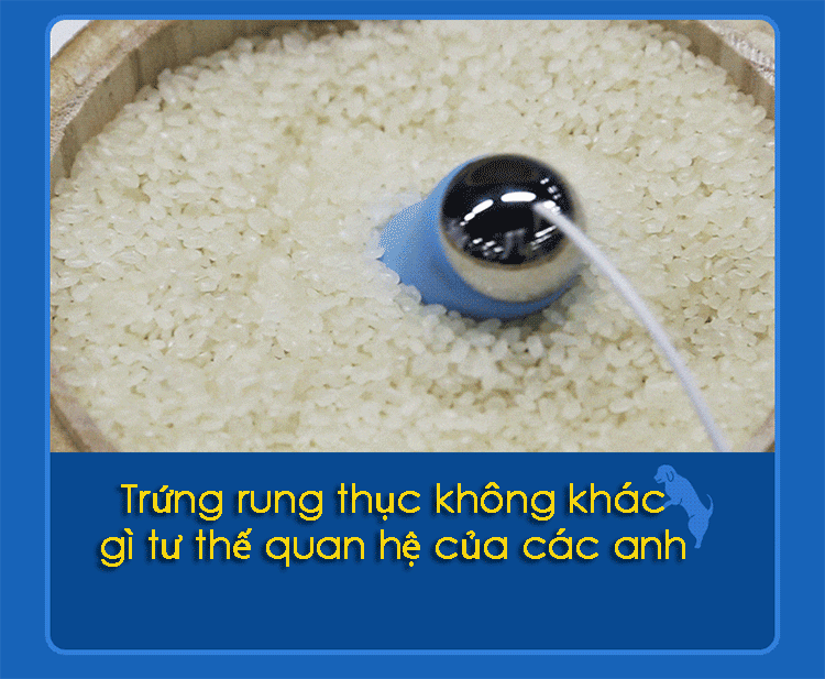 Trứng Rung 2 Đầu Leten Nhật Bản Kích Thích Mạnh Mẽ An Toàn