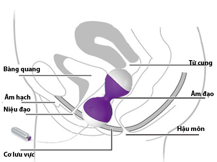 Miu Miu Remote G-Spot Warming Vibrating Egg