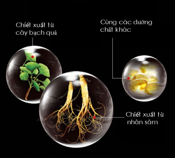 Kem Bôi Tăng Kích Thước Cương Cứng Dương Vật Pjur Đức 50ml