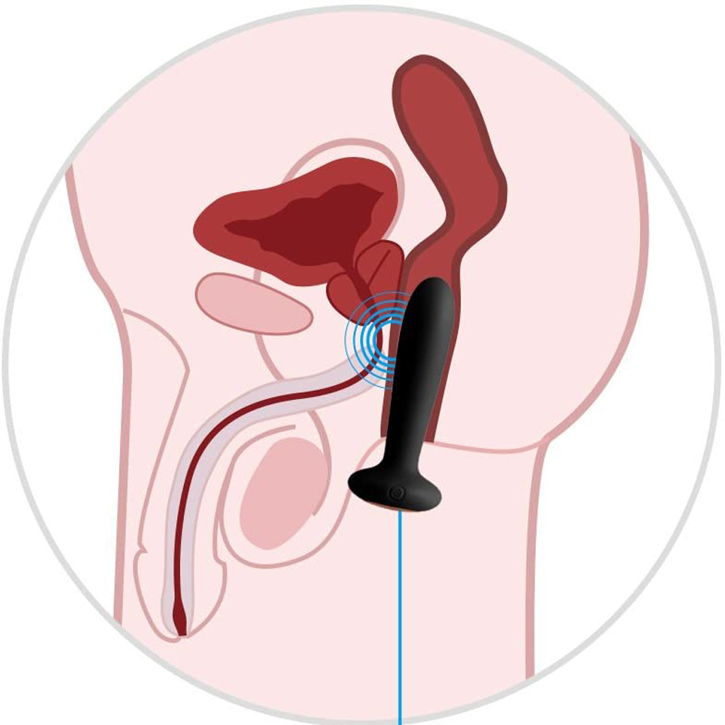 SVAKOM Primo hậu môn sưởi ấm, rung mạnh, siêu bền, cực khoái