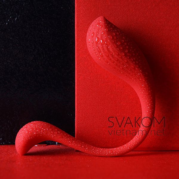 SVAKOM Phoenix Neo phượng hoàng cảm ứng điều khiển app thông minh dễ dùng