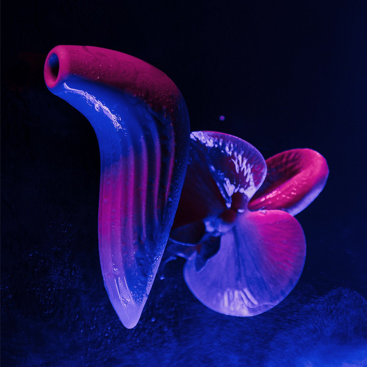 SVAKOM Pulse Union máy bú hút âm vật silicone cao cấp đỉnh cao