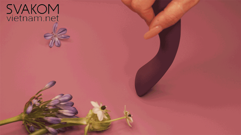 SVAKOM Amy 2 máy rung điểm G cao cấp khám phá khoái cảm đỉnh cao