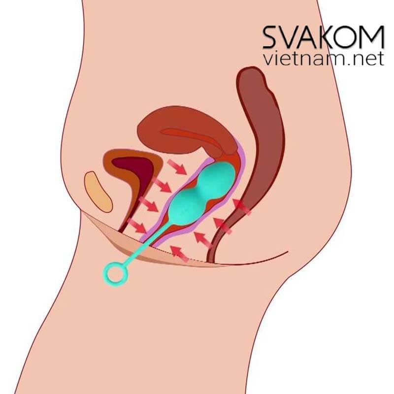 Bóng tập Kegel SVAKOM Nova Plus Se Khít Âm Đạo Tăng Cương Sức Khỏe