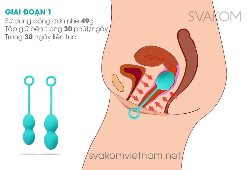 SVAKOM Nova thiết bị tập kegel tăng se khít âm đạo hiệu quả