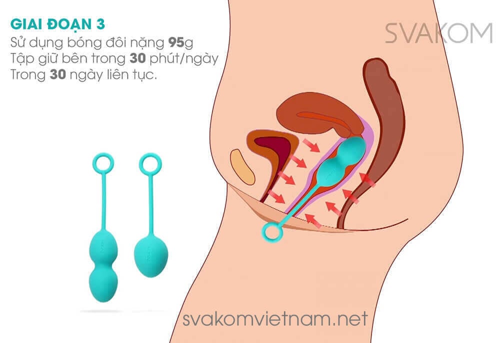 SVAKOM Nova thiết bị tập kegel tăng se khít âm đạo hiệu quả