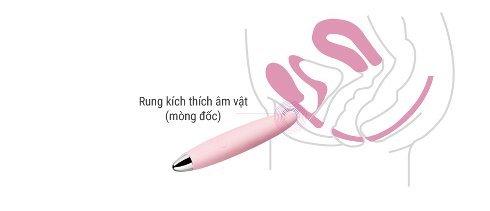 SVAKOM Daisy đồ chơi người lớn cao cấp rung đa năng kích thích