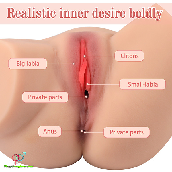 Búp bê tình dục bán thân nhỏ gọn Xise SQ-MA50098 nam