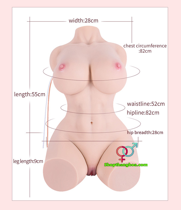 Toysheart Miura Kyoko Half Body Doll Male Relief