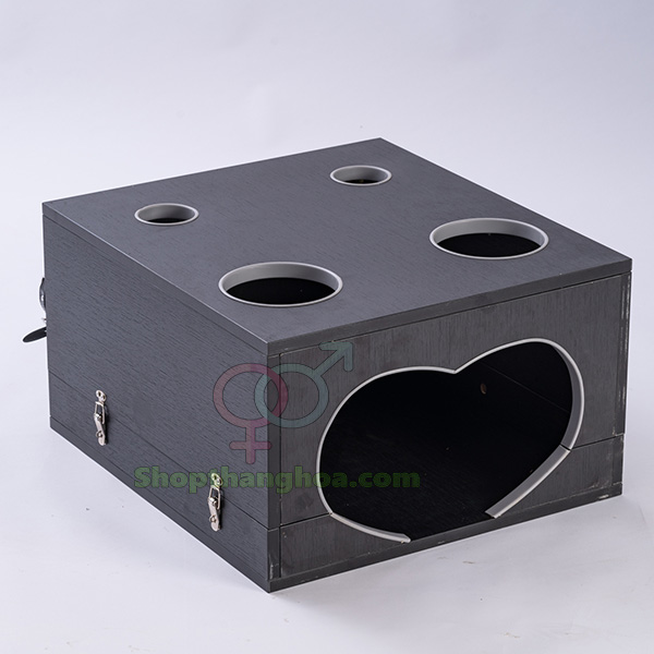 Đồ chơi bạo dâm hộp gỗ trừng phạt bạn tình cao cấp giá tốt