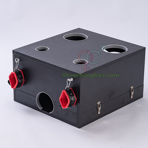 Đồ chơi bạo dâm hộp gỗ trừng phạt bạn tình cao cấp giá tốt
