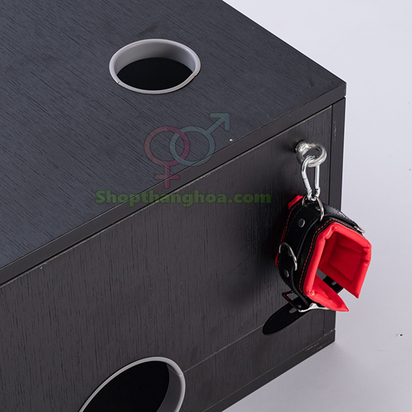 Đồ chơi bạo dâm hộp gỗ trừng phạt bạn tình cao cấp giá tốt
