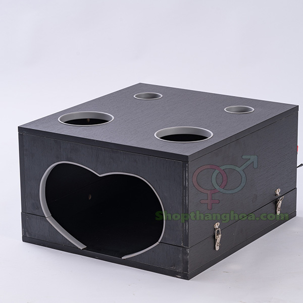 Đồ chơi bạo dâm hộp gỗ trừng phạt bạn tình cao cấp giá tốt