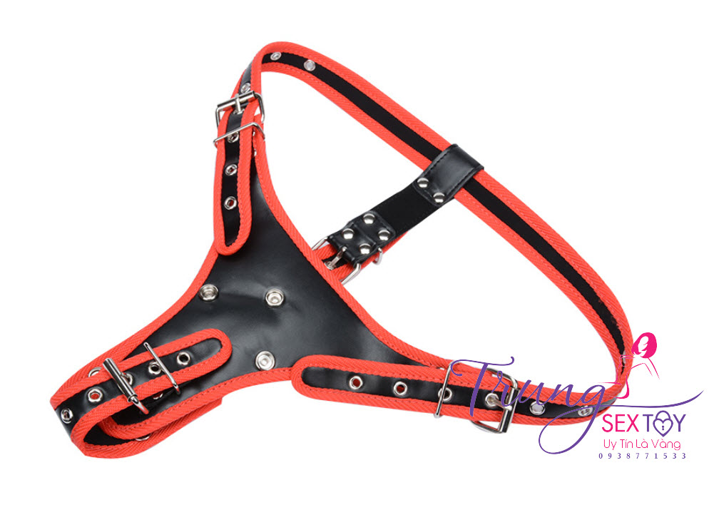 Lesbian Strap-On Triple Dildo Adjustable Leather Harness