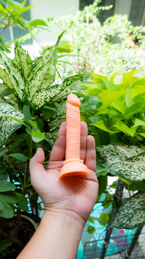 Dương Vật Giả Mini Siêu Mềm Giá Tốt Dành Cho Phái Nữ