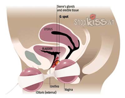 Hạt Luna silicon dụng cụ tập âm đạo se khít an toàn hiệu quả