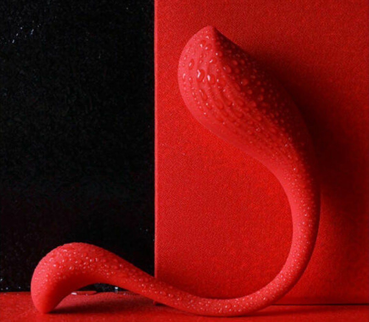 Đánh giá Tại sao không trải nghiệm với Svakom PHOENIX NEO?  hàng xách tay