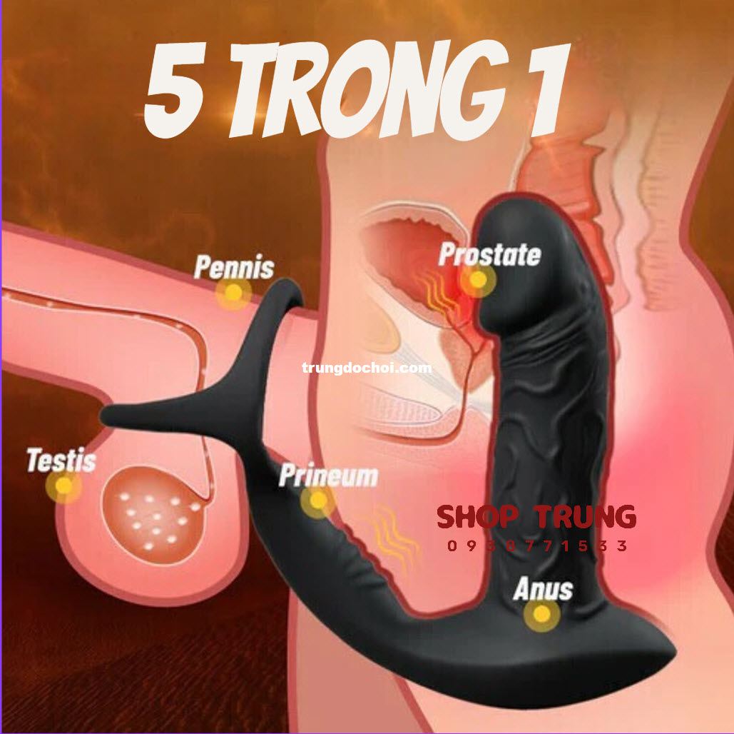 Máy Rung Massage Hậu Môn 9 Chế Độ Lắc Đa Năng Kích Thích Tột Đỉnh Máy Rung Massage Hậu Môn 9 Chế Độ Lắc Đa Năng Kích Thích Tột Đỉnh