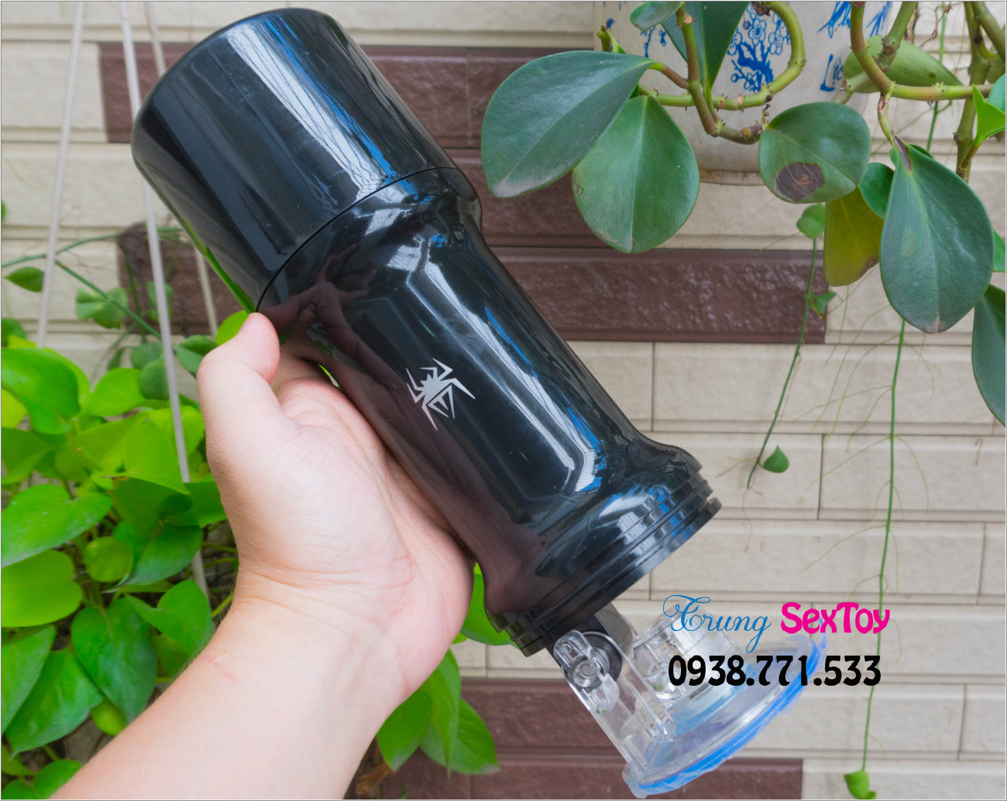 Âm Đạo Giả Spider Korea Chuẩn 3D Siêu Bền Gắn Tường