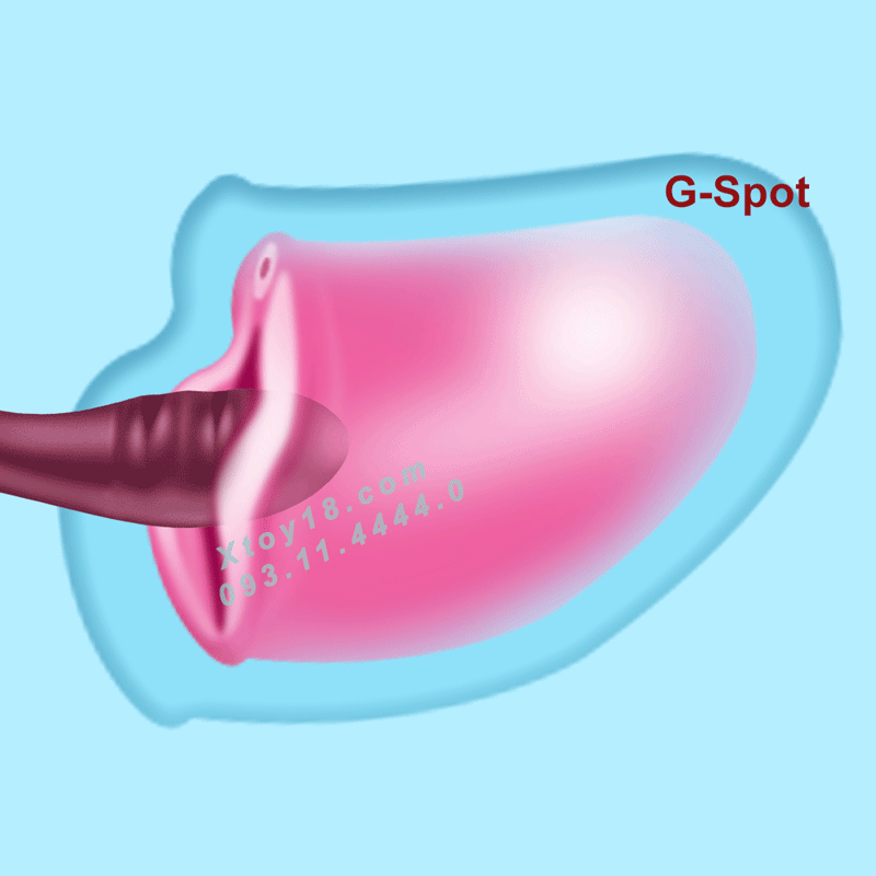 Thanh Rung Millie cao cấp đẳng cấp sành điệu tiện lợi