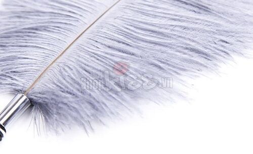 Ostrich Feather Sensual Pleasure Tickler Couples Pain Play