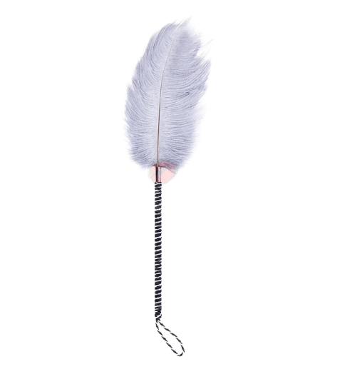  Shop bán Lông chim đà điểu kích thích khoái cảm  có tốt không? 