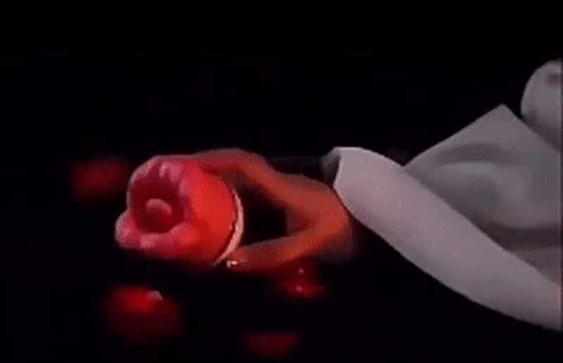 Miệng Giả Tự Động Hannibal Rung Liếm Mút Kích Thích Tột Đỉnh