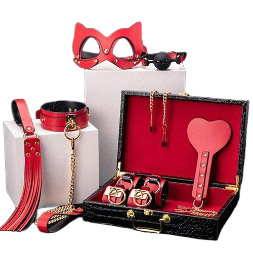 Bộ Đồ Chơi Bạo Dâm 8 Món Cao Cấp Sang Trọng BDSM Tăng Khoái Cảm 