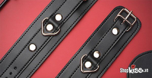 Bộ đồ chơi Svakom chính hãng Mỹ tặng quà cao cấp bạo dâm