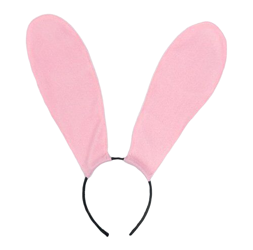 Bộ đồ chơi bạo dâm 10 món cosplay thỏ con phong cách sexy 