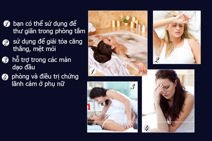 Máy Massage G Spot Lelo GIGI 2 Giá Tốt Quà Tặng Tình Yêu