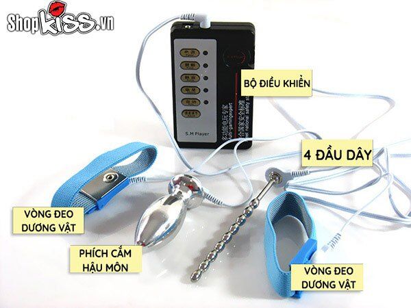  Bỏ sỉ Bộ dụng cụ xung điện massage hậu môn và dương vật cực phê tốt nhất