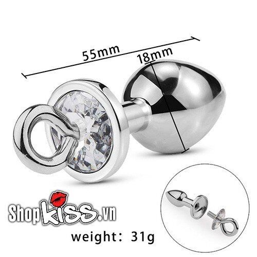 Detachable Metal Anal Plug With Ring Restraint BDSM Toy