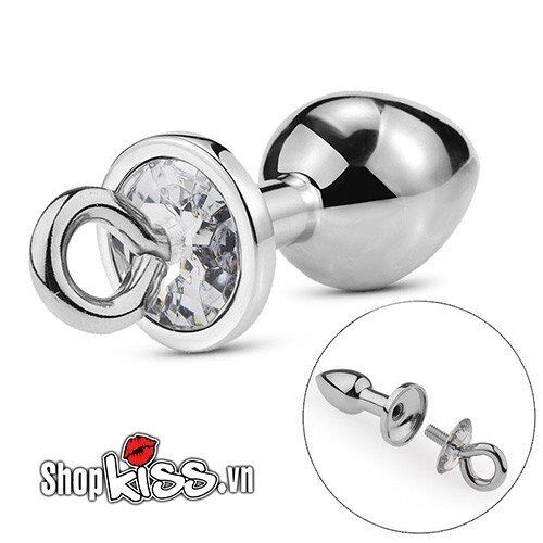 Detachable Metal Anal Plug With Ring Restraint BDSM Toy